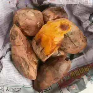 해남 꿀고구마 10kg 중급