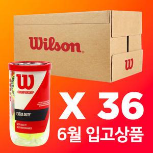 윌슨 테니스공 시합구 36캔 72개입