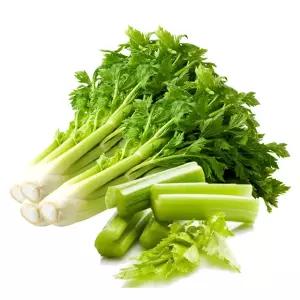 [산정마을] 국내산 샐러리 2kg