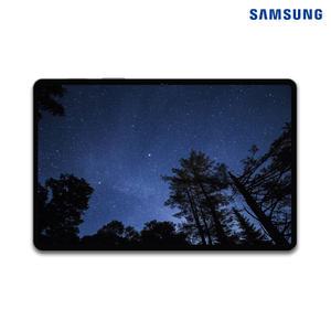 삼성 갤럭시탭 S9 FE 플러스 WiFi 128GB SM-X610 / 그레이