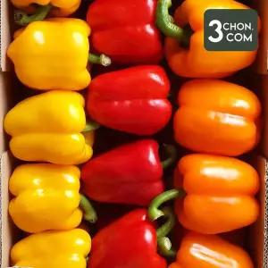 [삼촌밥먹자]파프리카 1kg