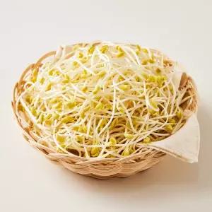 [마이프레시] 무농약 콩나물 1kg
