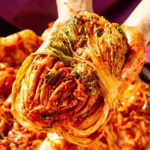 도미솔 사랑채 포기김치 10kg