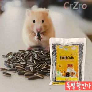 햄스터 해바라기씨 간식 다람쥐 기니피그 영양 씨앗