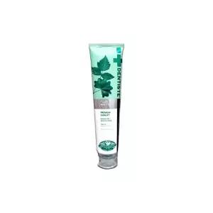 덴티스테 뉴 플러스 화이트 치약 200g 2개-GTJ