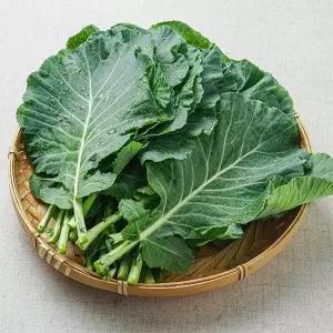 [지투지샵]쌈케일 2kg