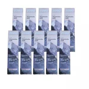 2080 히말라야 퓨어 마운틴 핑크 솔트 치약 120g x 12