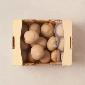 [농할 20% 할인쿠폰 다운로드]햇감자 2kg 박스