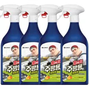 홈스타 맥스프레쉬 주방용 세정제 500ml, 4개