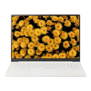 LG전자 16Z90U-KS5EK PRO AI 2026 40.6cm SSD 1 TB RAM 32 GB 노트북 대성가전