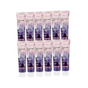 애경 2080 퓨어 핑크 마운틴 솔트 치약 120g x12개