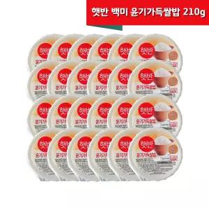 햇반 윤기가득쌀밥 백미210g 24개