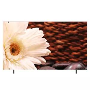 LG전자 OLED65B5ENA 올레드 4K TV 스탠드형 전국추가비용없음 대성가전