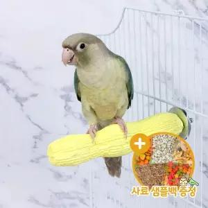 [하프클럽/올펫몰]물결 발톱갈이 횃대(중) 장난감 코뉴어 앵무새 A001-2