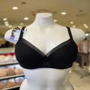 비너스 EF컵 26SS 여름 메인 인견 냉감 쿨 티타늄와이어 몰드브라 VBR9007EF 566912