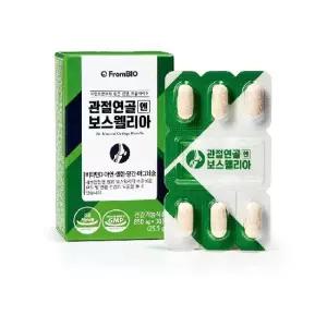 프롬바이오 관절연골엔 보스웰리아 30정 6박스(3개월분)