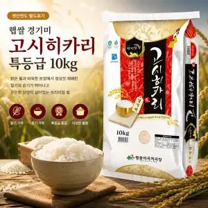 [내일도착] 25년햅쌀 경기미 고시히카리 특등급 10kg