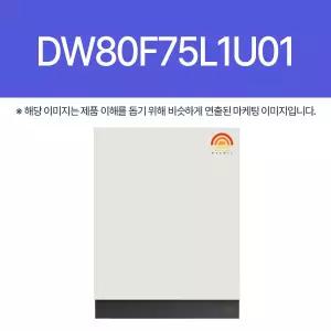 삼성전자 DW80F75L1U01 (hm)