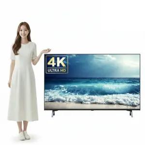 LG전자 나노셀 AI 65NANO80AEA