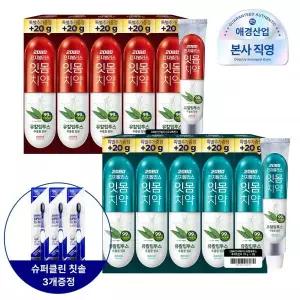 2080 진지발리스 유칼립투스 치약 스트롱민트 150g X 10개