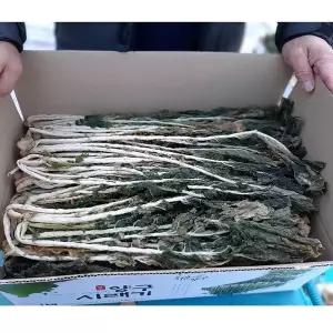 [자연미가]양구펀치볼 무청 시래기 1kg (건조) / 건조시래기  올해수확한 품질좋은 햇시래기~
