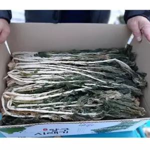 양구펀치볼 햇 무청 건시래기 1kg (건조)