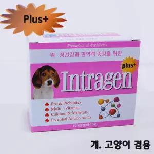 인트라젠 플러스 스틱 2GX30P 애완견영양제 강아지건강식품