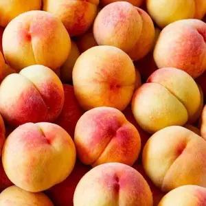 [산해직송]말랑이 백도 복숭아 중과 2kg / 9-11과 내외