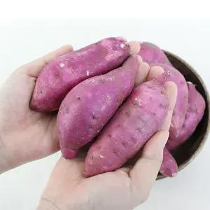 [팔도농장] 세척 꿀 밤고구마 (중)3kg
