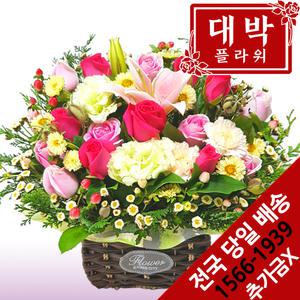 꽃동산 꽃바구니 생일선물 기념일 출산꽃바구니 병문안 부모님선물 전국꽃배달서비스