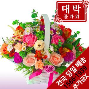 아기자기 꽃바구니 생일선물 기념일 출산꽃바구니 병문안 부모님선물 전국꽃배달서비스