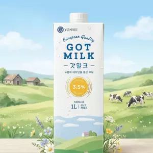 믈레코비타 갓밀크 수입멸균우유 3.5% 1L 12입
