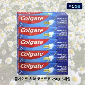 콜게이트 치약 코스트코 250g 5개입 잇몸 입냄새 불소 1450 고불소 그레이트 레귤러