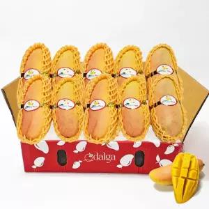 [달가] 마하차녹 무지개망고 5kg(10~16입) 외 / 태국망고