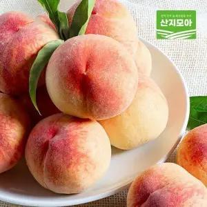 [산지모아] 13Brix 딱딱이 복숭아 3kg 11-12과/대과