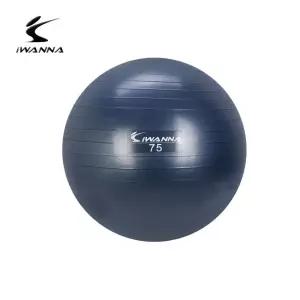 운동 안티버스트 짐볼 블루인디고 75cm