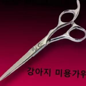 강아지 가위 미용가위 민가위 애견 입문용 가정용