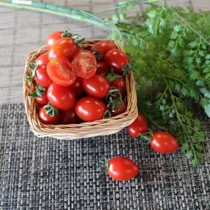 대추방울토마토(특) 5kg (1~2번과)대과 1박스 자연대