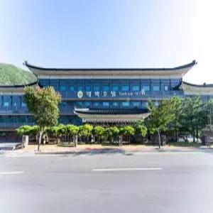 태백호텔(태백호텔/태백추천호텔)