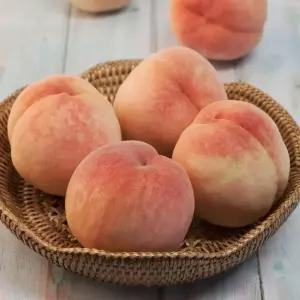 국내산 경북 백도 복숭아 대과 2kg 8-9과