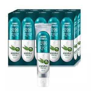 2080 진지발리스 G 잇몸케어 치약 유칼립투스 민트 150g 10개