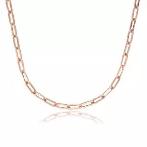 (스타필드 고양점)로이드 클립체인 14k 목걸이 (5.5mm) LNC21016G