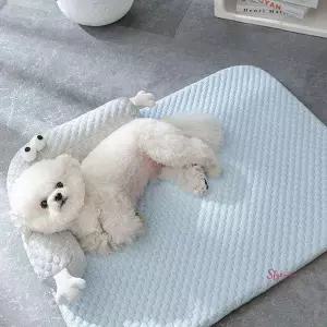 콩쓰몰리강아지 반려동물 여름방석쿨매트 고양이겸용ghi356
