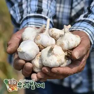 서산 햇마늘 황토밭 특품 마늘 대 반접 50개 농부직송 통마늘 장아찌 흑마늘