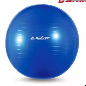 짐볼 (블루) 55cm
