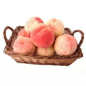 햇사레 말랑이 복숭아 4kg 17-9내 /백도 황도 말랑이품종 일괄포장/장호원감곡 명물복숭아~!