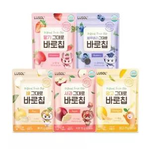 루솔 과일칩 그대로 바로칩 5종 10팩 골고루