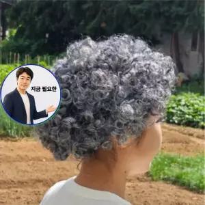지금 필요한 노파 할머니 노인 꽁트 공연용 할머니가발 파마 가발 머리 분장용