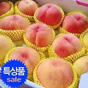 털 복숭아 4kg 특대(10~12과) 특품 딱딱이 선물용