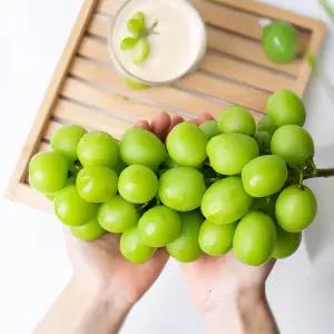 행복한 농부 (에어캡 포장)고당도 샤인머스켓2kg3~5수/망고맛청포도